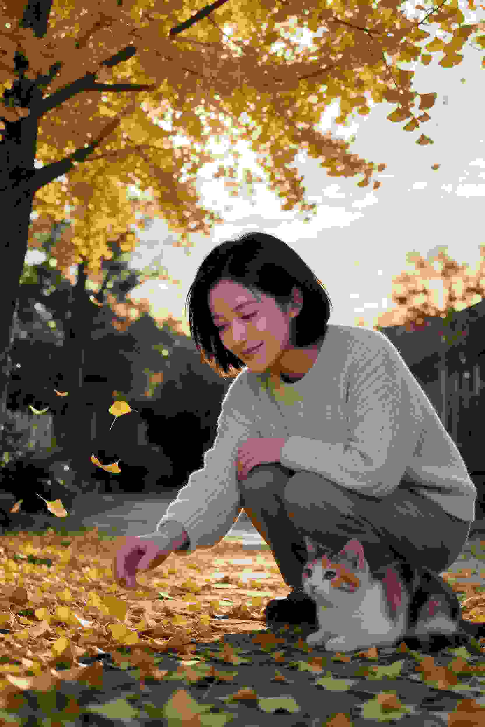 网剧资源下载